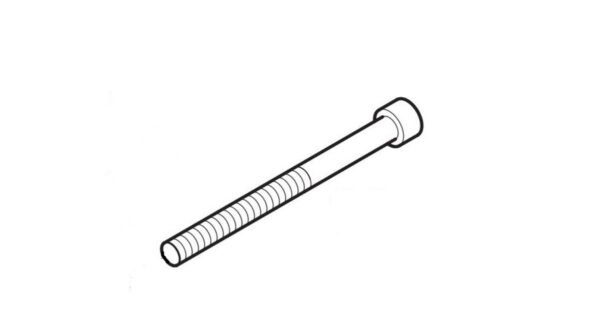 10010350-Cylinder-screw-M5x65-Torx-ECU