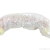 63178B-mv-01-spheros